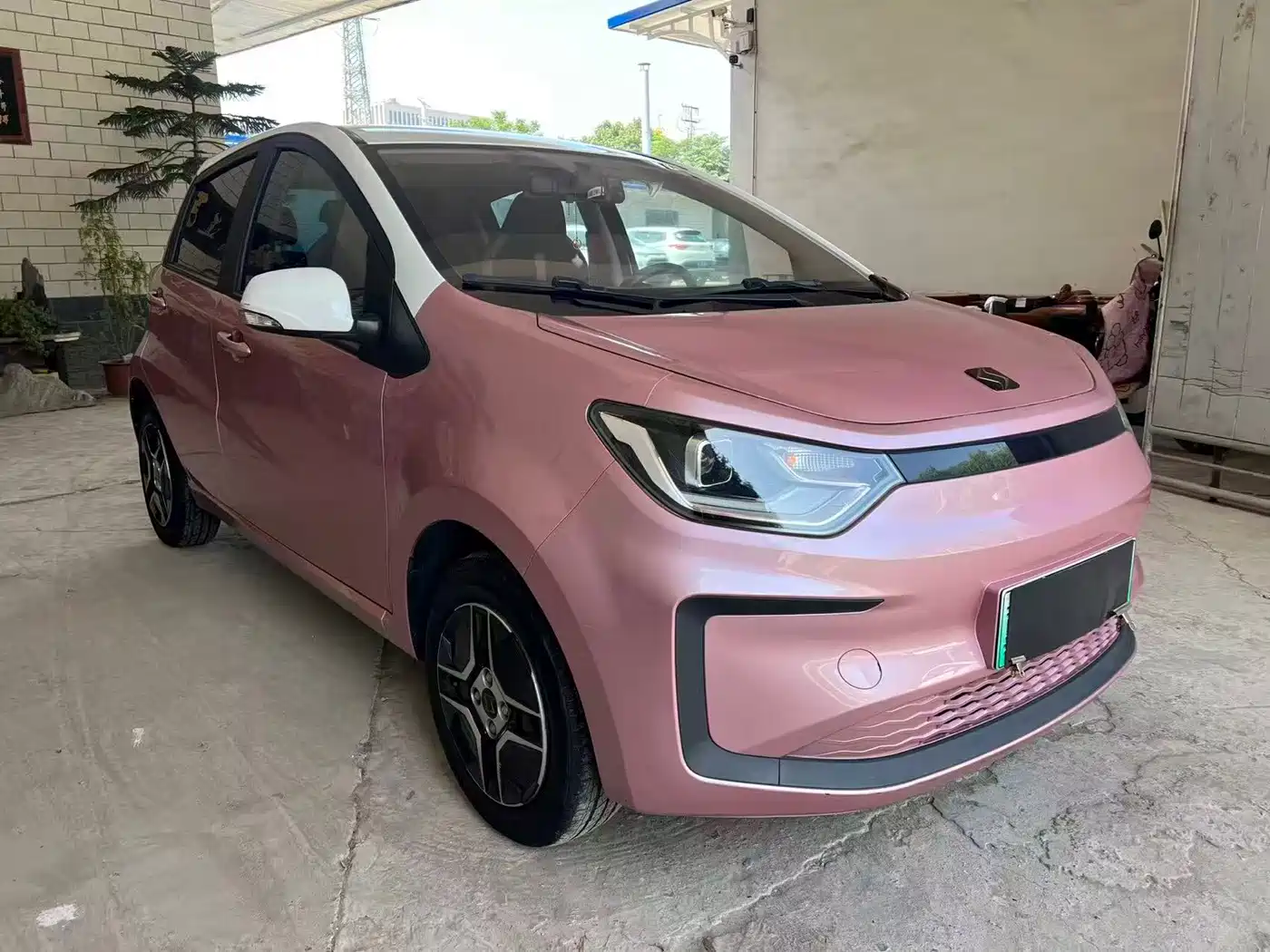Sehol Flower Fairy 2021 2021 Jimei Edition 302km Luxury