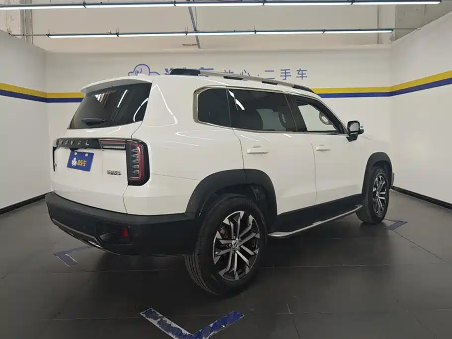 Haval Big Dog 2021 1.5T DCT 2WD Border Collie Edition фото 3
