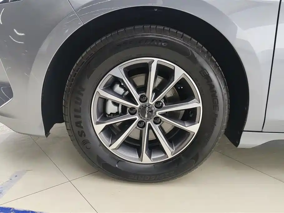 BYD Destroyer 05 2024 Glory Edition DM-i 55KM Luxury фото 6