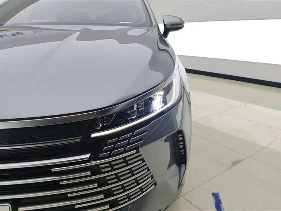 BYD Destroyer 05 2024 Glory Edition DM-i 55KM Luxury фото 5