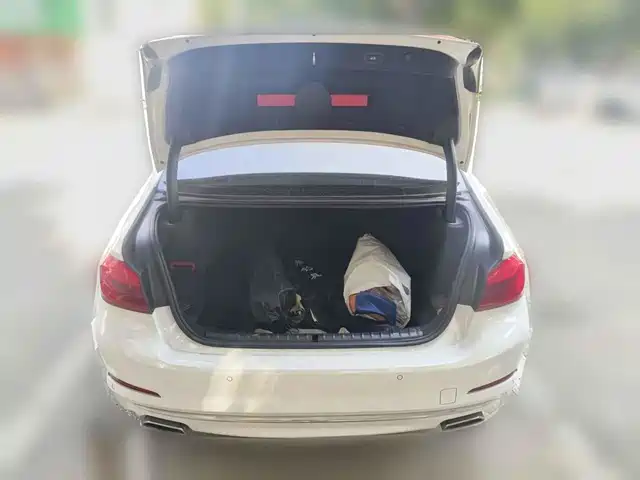 BMW 5 Series 2020 525Li Luxury Package — фото 5