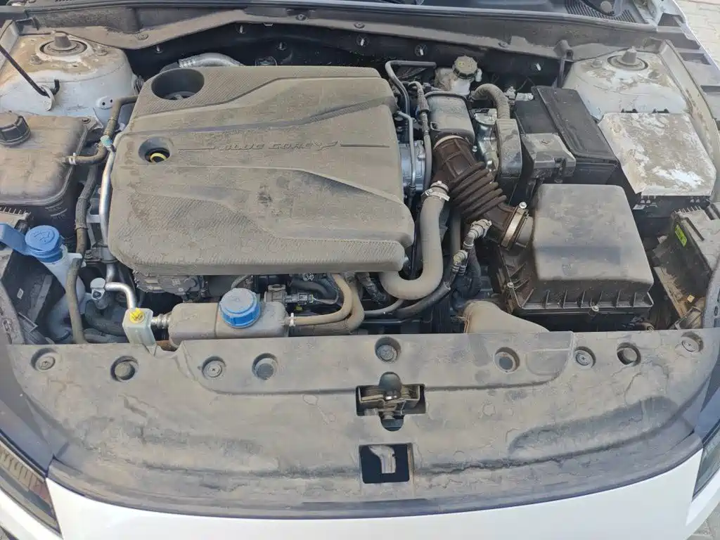 Changan Yida 2024 2023 Blue Whale NE 1.5T GDI DCT Pilot