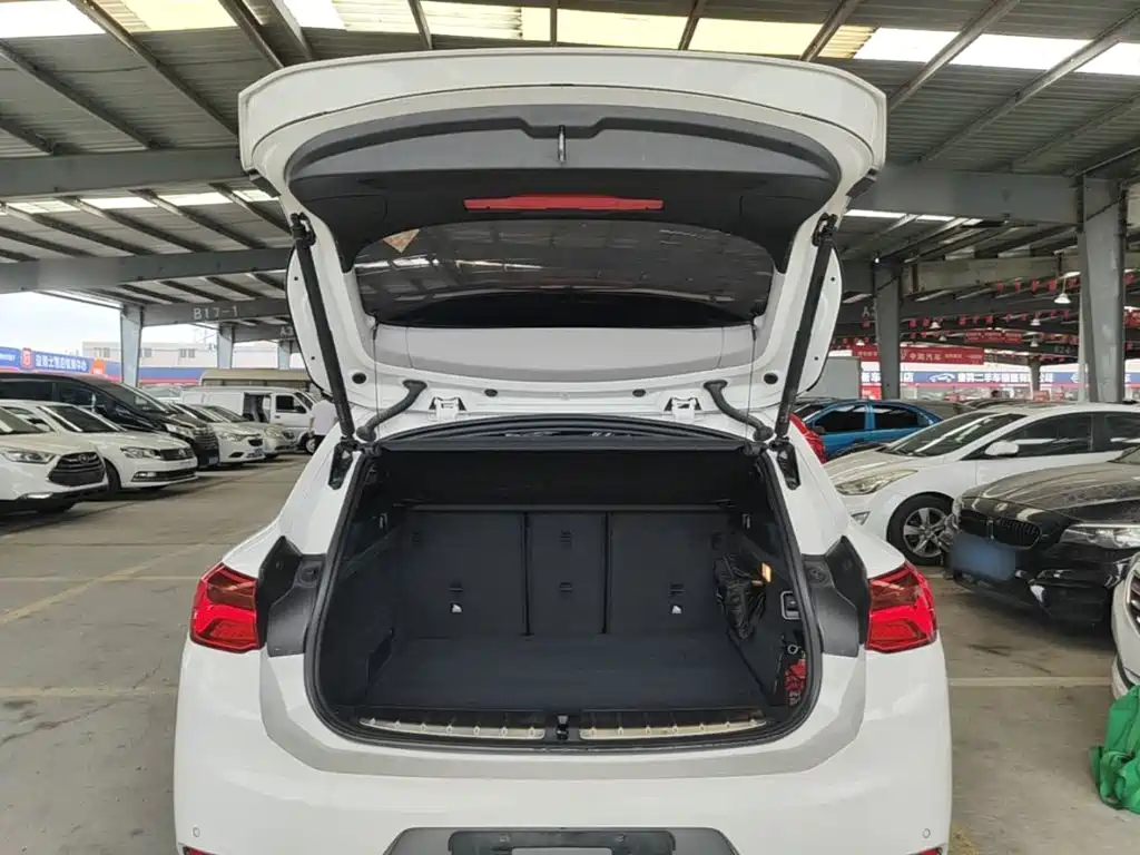 BMW X2 (Import) 2019 2019 sDrive20i M Off-Road Package China VI