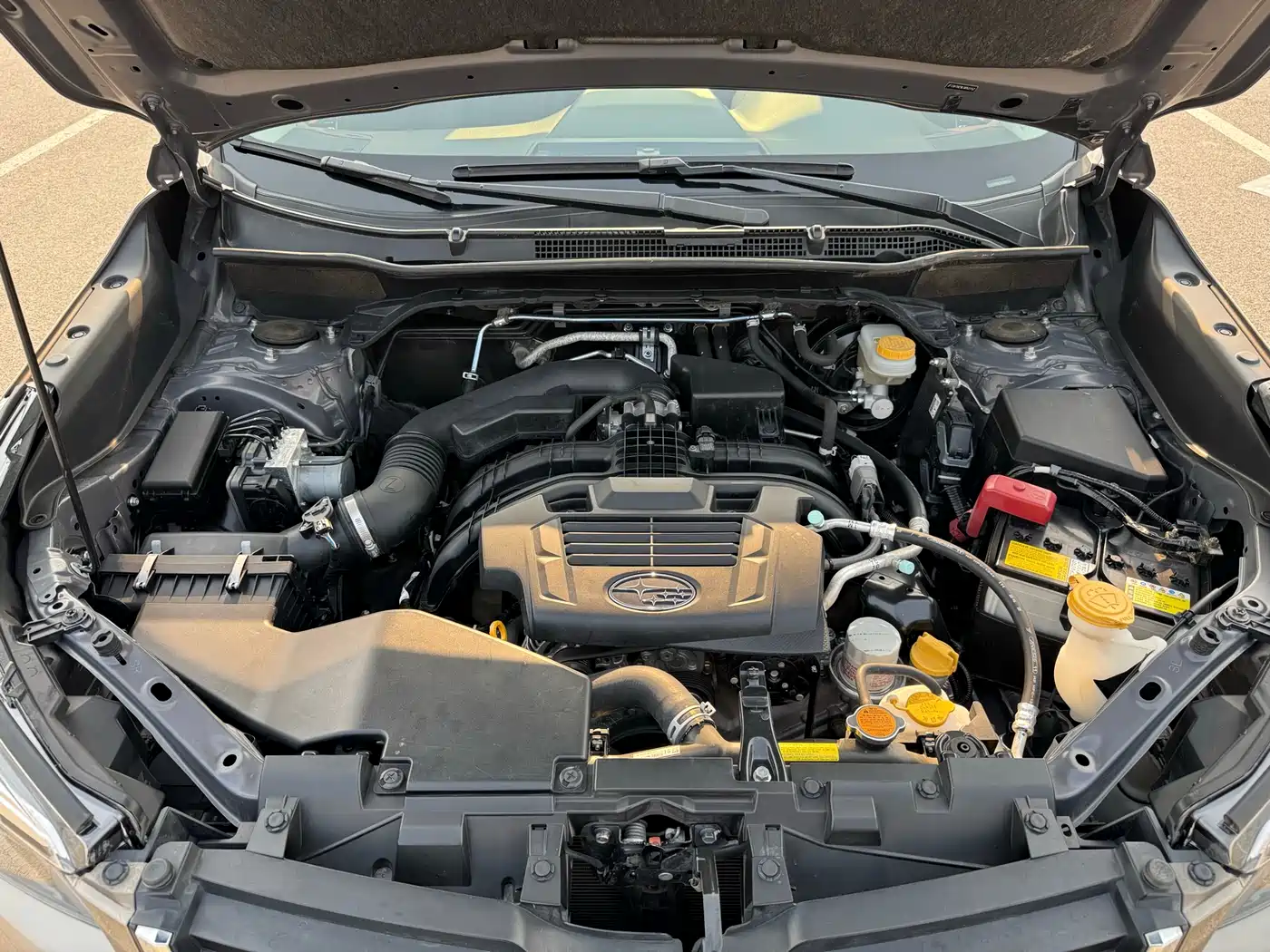 Subaru Forester 2020 2.0i Luxury Edition EyeSight фото 27