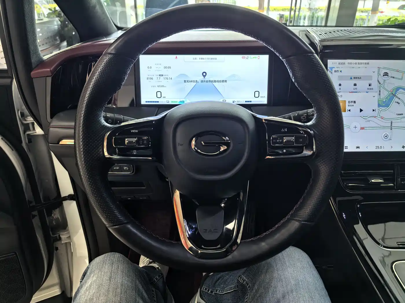 GAC Trumpchi Trumpchi M8 2023 Master Series Dual Hybrid Flagship Edition фото 14
