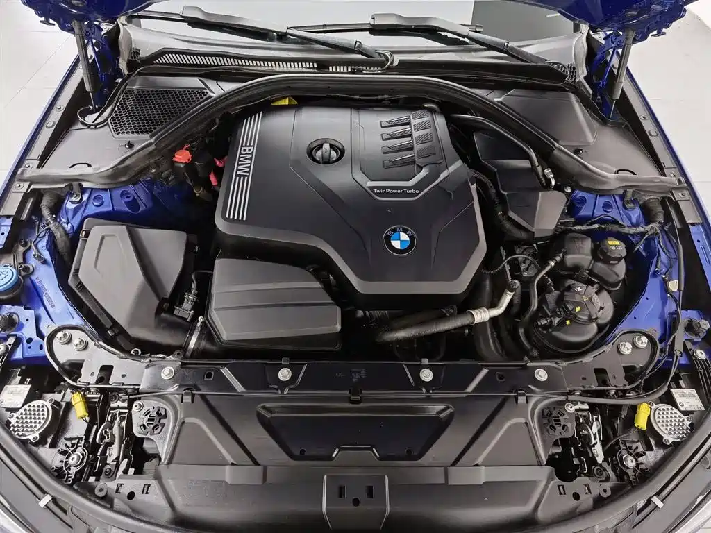 BMW 3 Series 2020 320Li M Sport Package фото 6