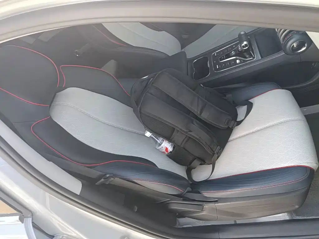 BYD Yuan PLUS 2022 2022 430KM Premium