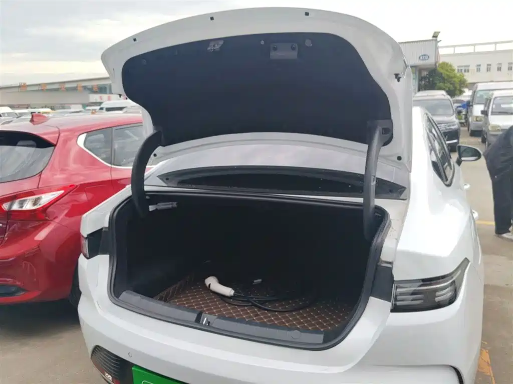BYD Destroyer 05 2024 Glory Edition DM-i 55KM Luxury фото 19