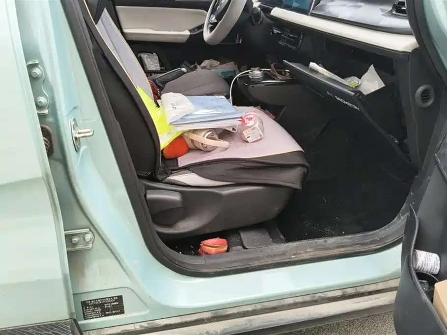 GEELY GEOMETRY E FIREFLY