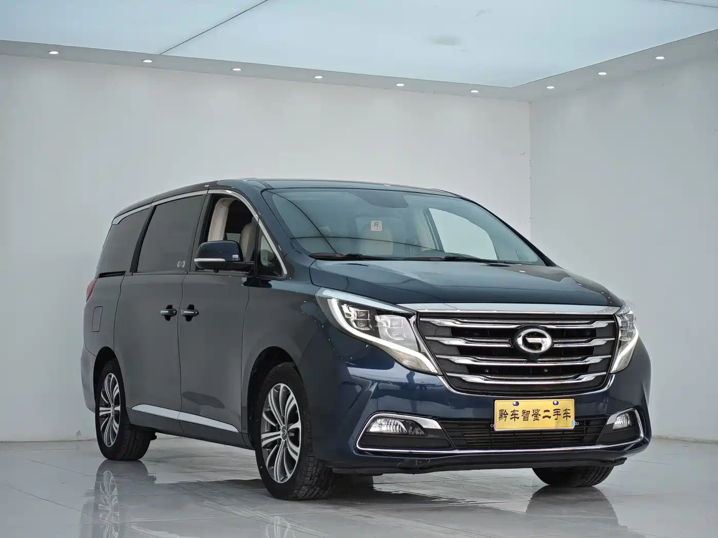 GAC Trumpchi Trumpchi M8 2018 320T Premium Edition фото 3