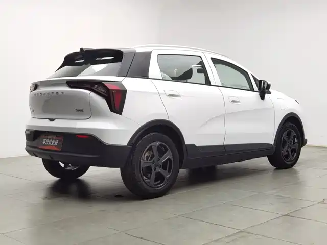 Geely Geometry E Firefly 2023 401KM Linglong Tiger 5-Seater — фото 2