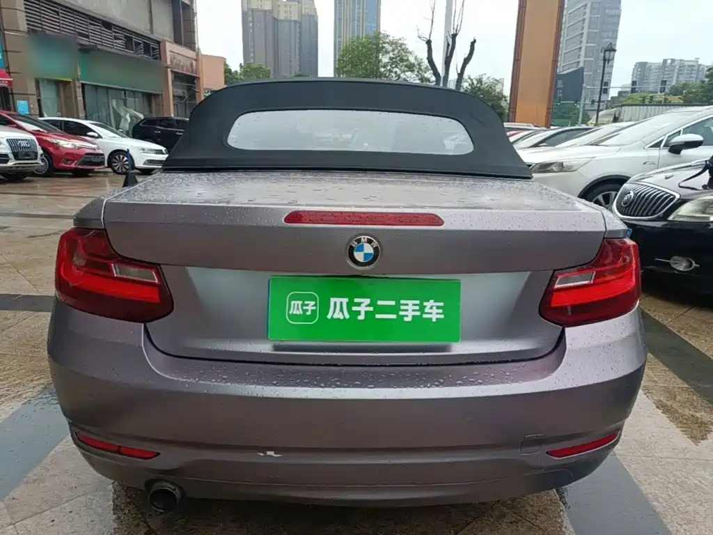Photo 6 - BMW 2 Series (Import)