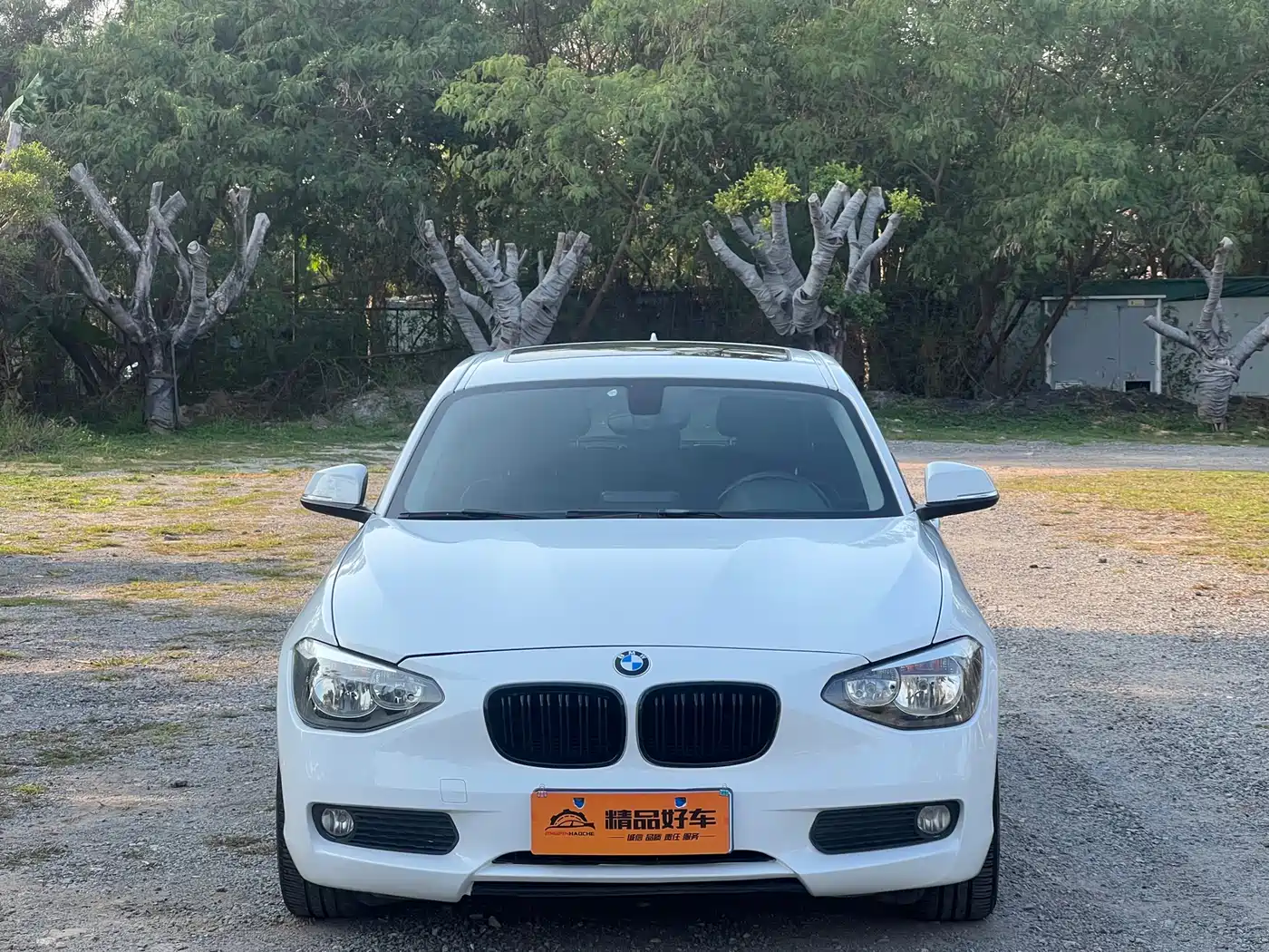 BMW 1 Series (Import) 2013 Facelift 116i Leading Model фото 2