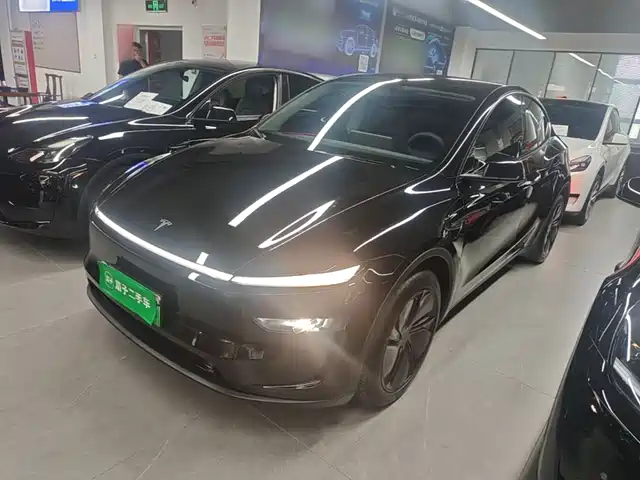 Tesla Model Y Задний привод