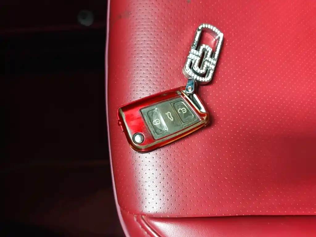 Фото 9 - Volkswagen Tanying