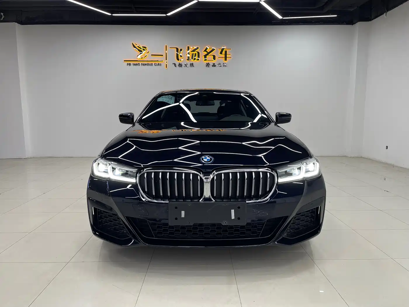BMW 5 Series New Energy 2022 535Le M Sport Package фото 2