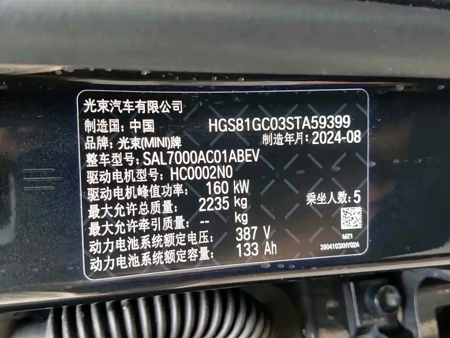 MINI Electric MINI ACEMAN 2026 2024 Model SE Artist