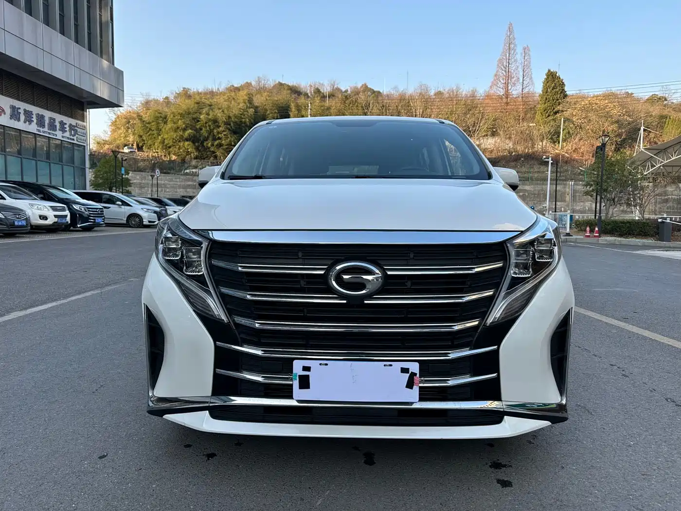 GAC Trumpchi Trumpchi M8 2023 Leading Series 390T Luxury Edition фото 2