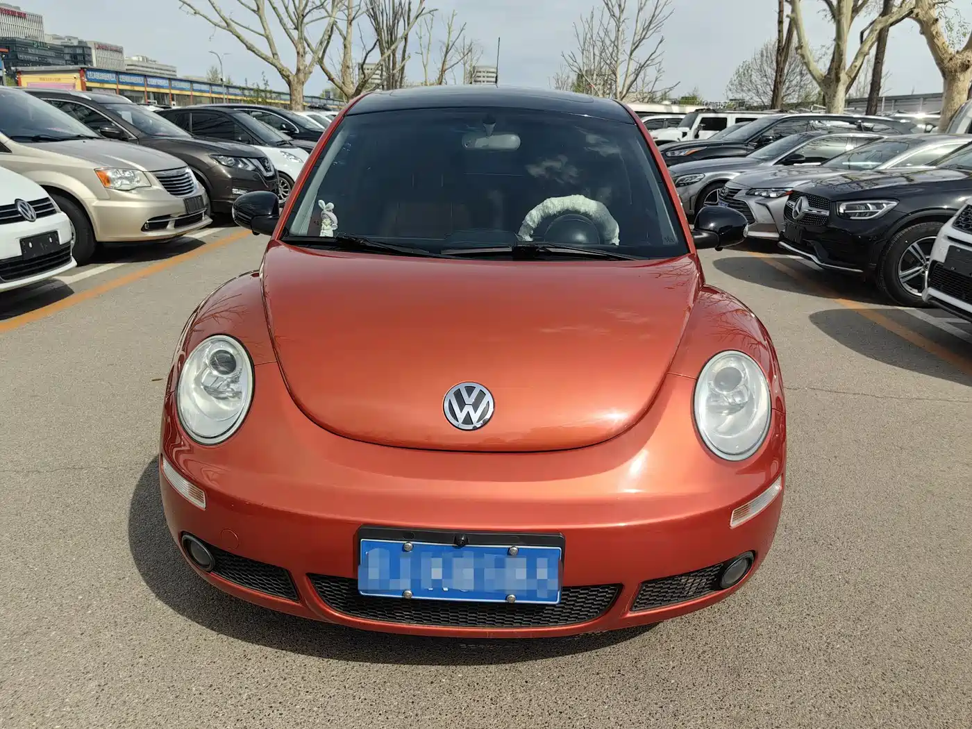 Volkswagen Beetle 2010 1.8T BlackOrange Luxury Edition фото 6