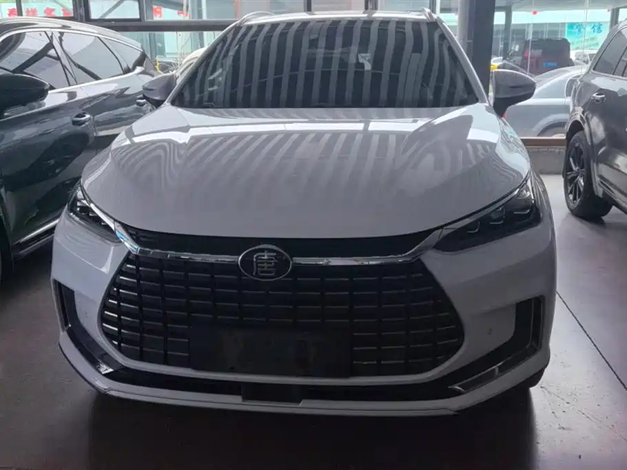 BYD Tang New Energy 2019 EV600D 4WD Smart Connected Creation Leader Type фото 2