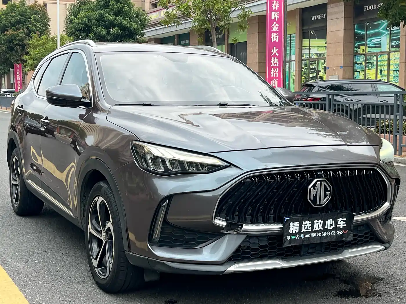 MG Pilot 2021 2021 300TGI Automatic 2WD Randong Luxury Edition
