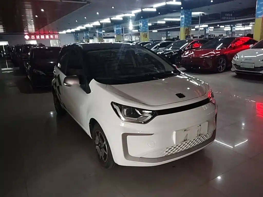 Sehol Flower Fairy 2021 2021 302km Luxury Edition 31.4kWh