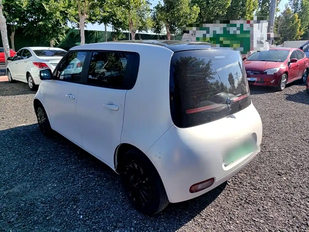 Ora White Cat 2020 2020 360km Luxury Model