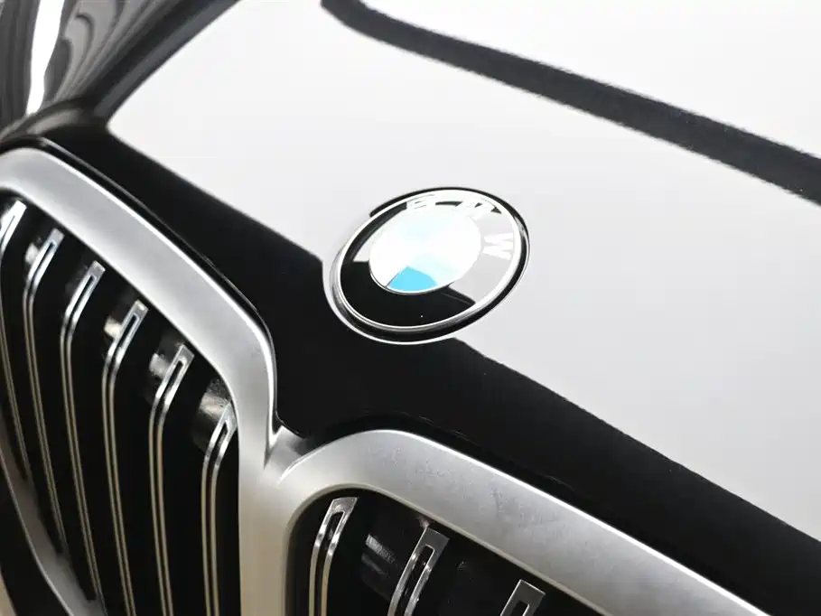 BMW X7 2023 xDrive40i Leading Luxury Package фото 28