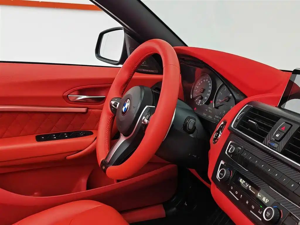 BMW 2 Series (Import) 2015 218i Convertible Coupe фото 22