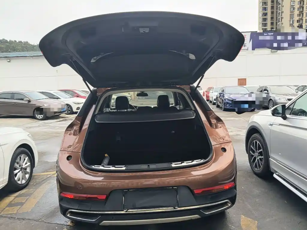 DS 6 2017 2016 1.6T Luxury THP160