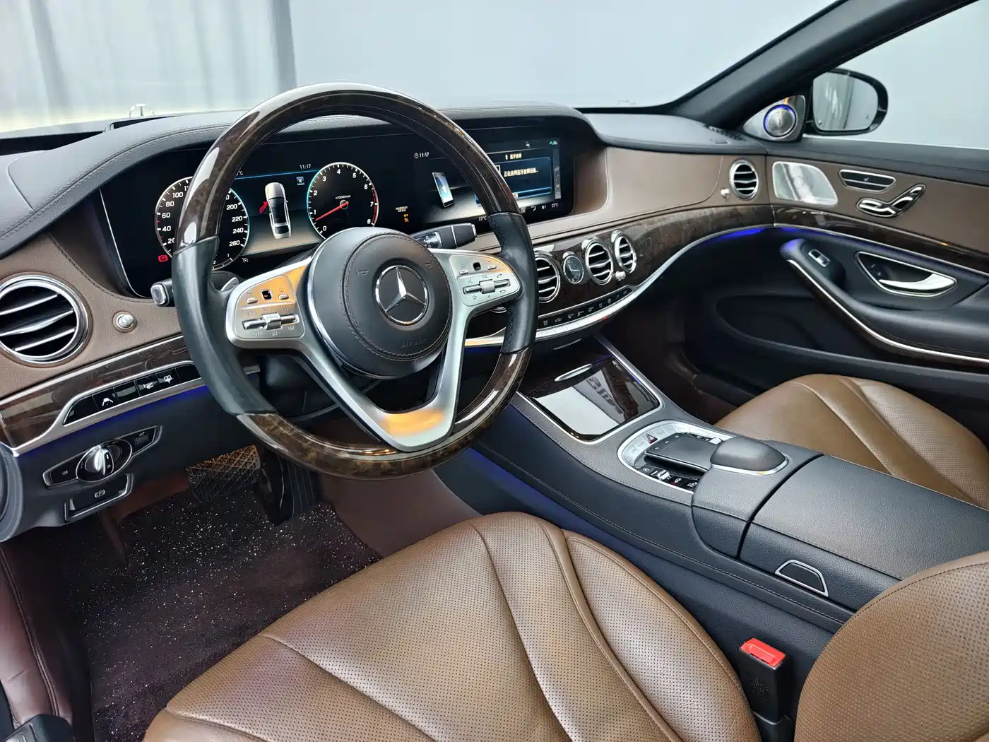 Mercedes-Benz S-Class 2019 S 350 L Luxury фото 9