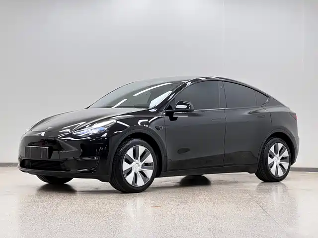 Tesla Model Y Увеличенный запас хода, полный привод