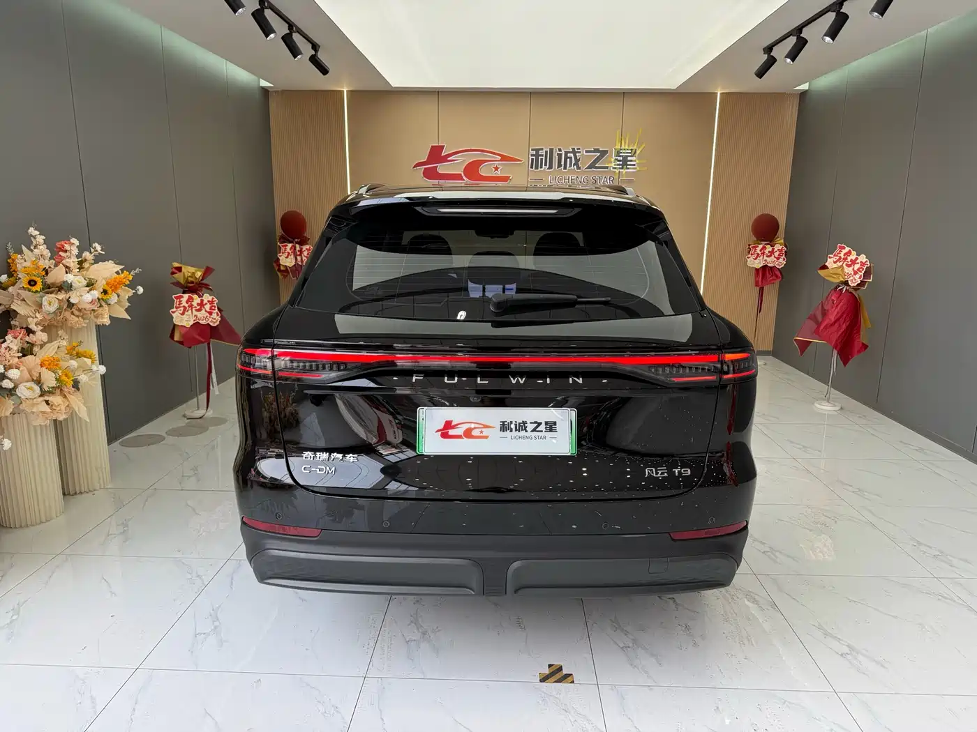 CHERY FENGYUN T9