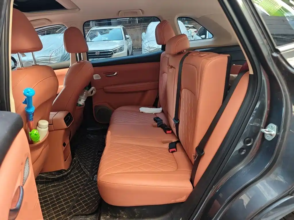 Landian E5 PLUS 2025 2025 165km Long Range 5-seater