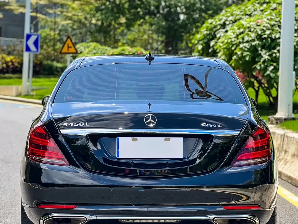 Mercedes-Benz S-Class 2020 S 350 L Business Edition Collector's Version фото 5