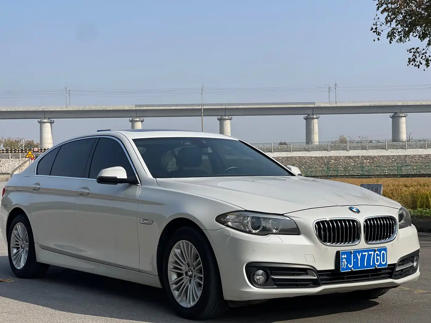 BMW 5 Series 2014 525Li Leading фото 3