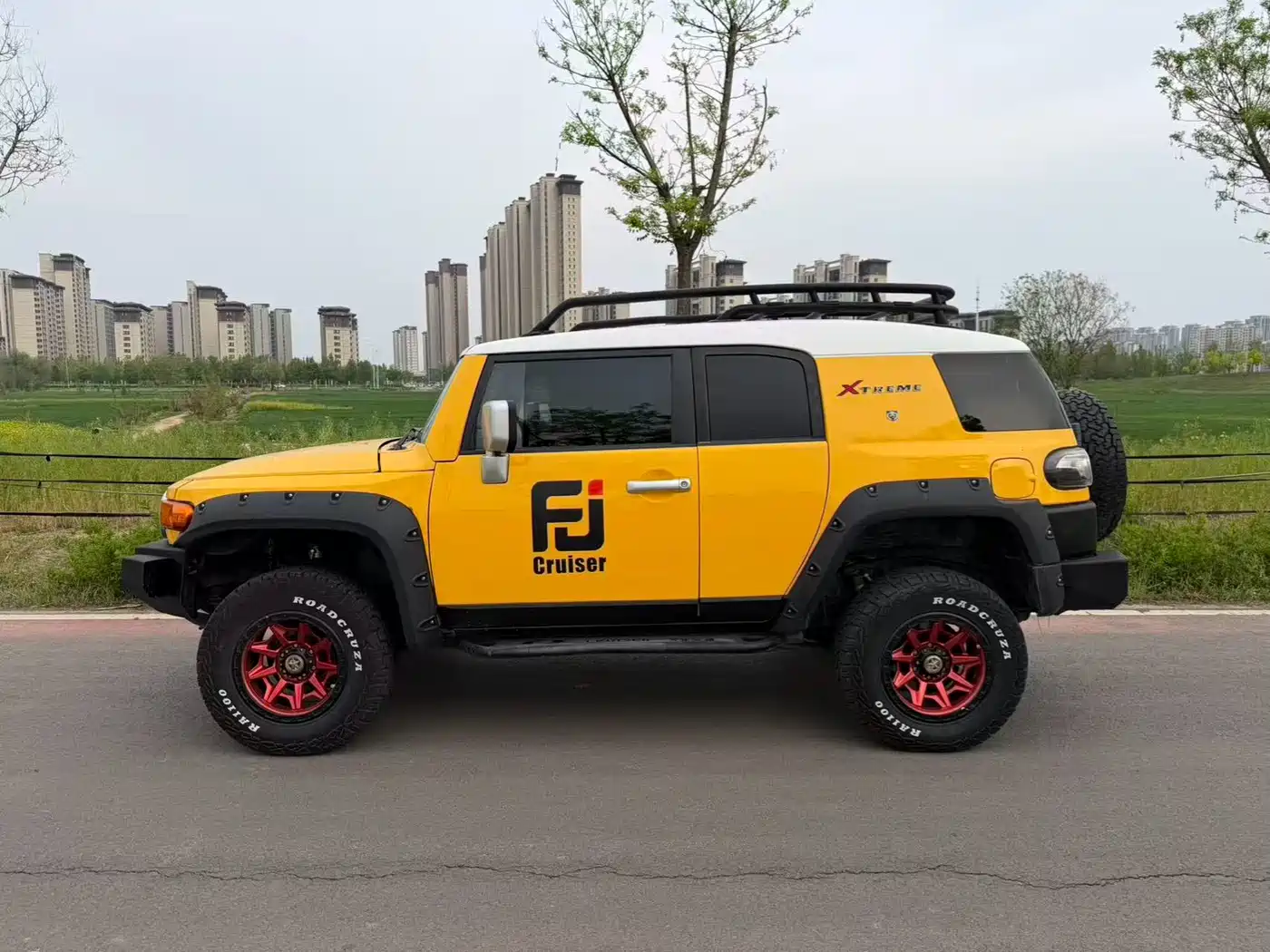 Toyota FJ Cruiser 2007 4.0L фото 3