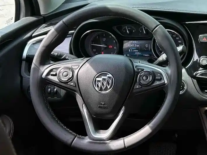Buick Envision Plus 2020 20T FWD Elite фото 15