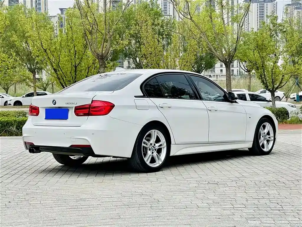 BMW 3 Series 2017 320Li Fashion фото 9