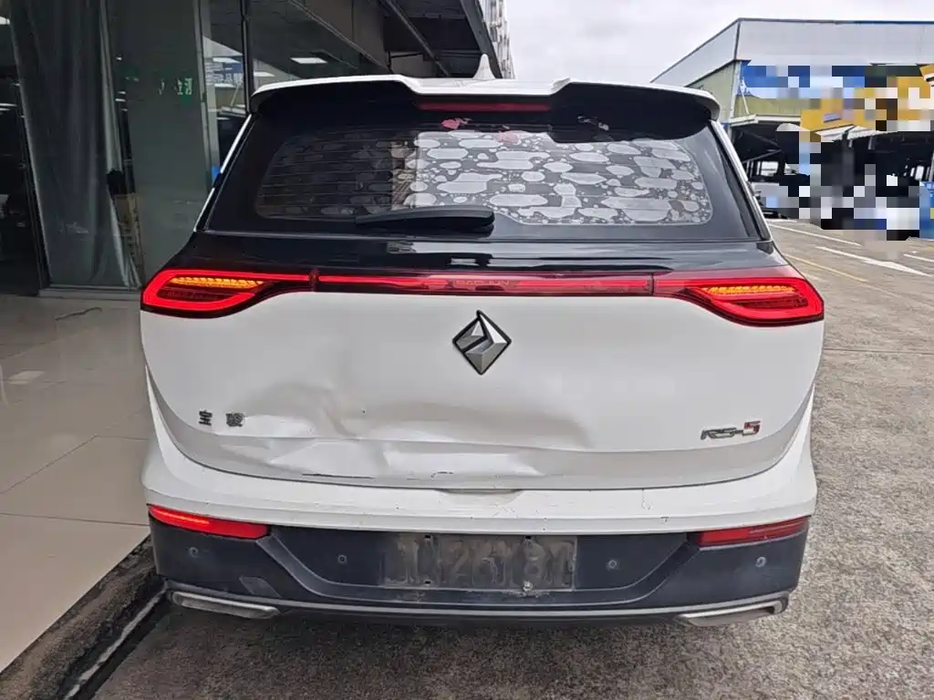 Photo 6 - Baojun RS-5