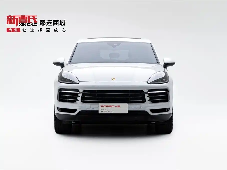 Porsche Cayenne 2019 Cayenne 3.0T фото 2