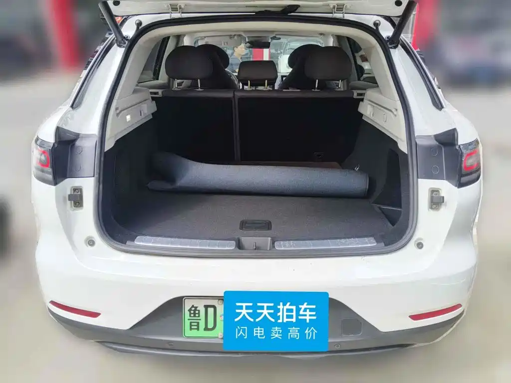 Leapmotor C11 2022 2021 Facelift Luxury Edition