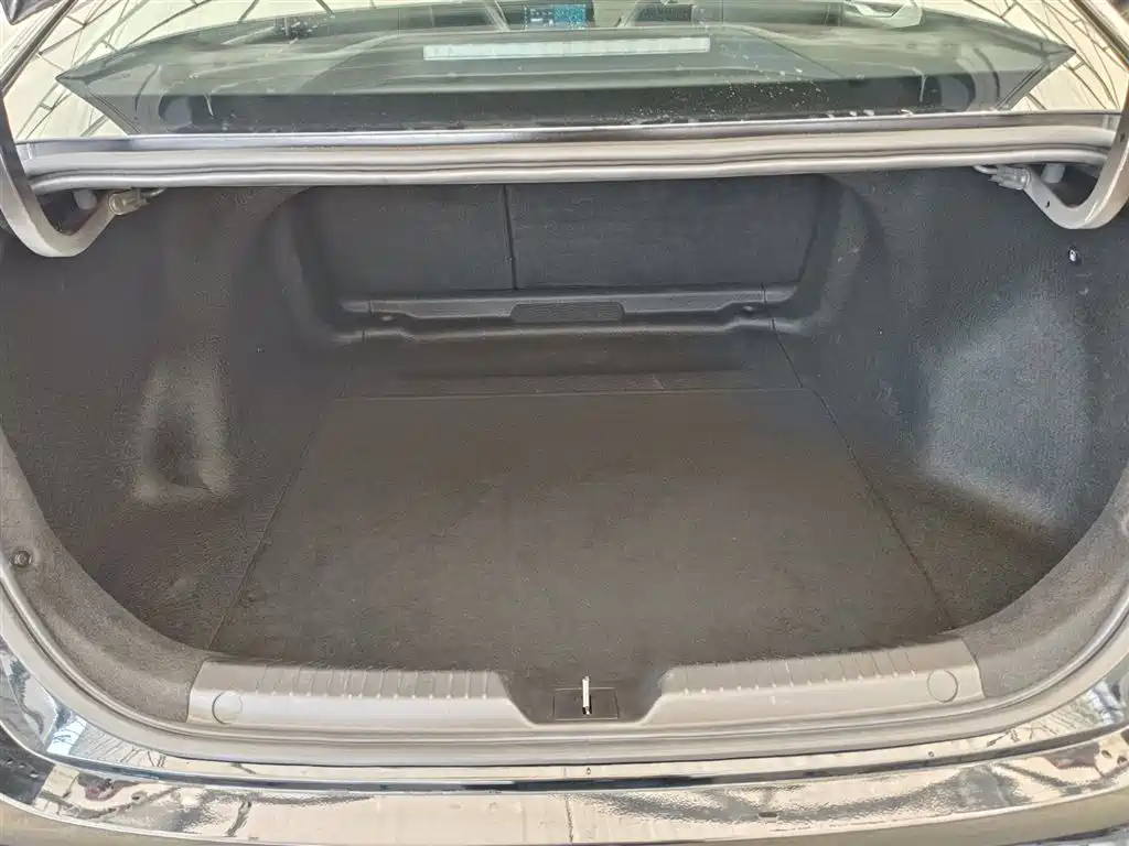 GAC TRUMPCHI SHADOW LEOPARD