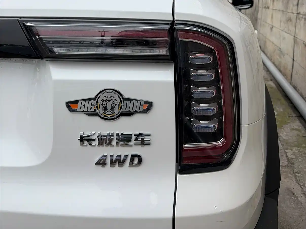 Haval Big Dog 2021 2.0T DCT 4WD Chinese Rural Dog Edition фото 15