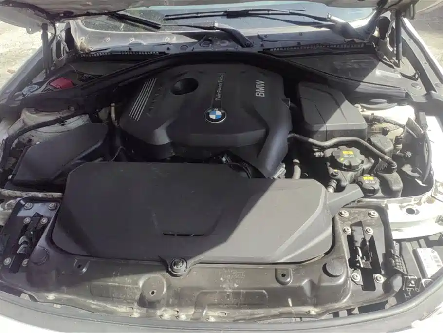 BMW 3 Series 2018 320Li Leading M Sport Package фото 10