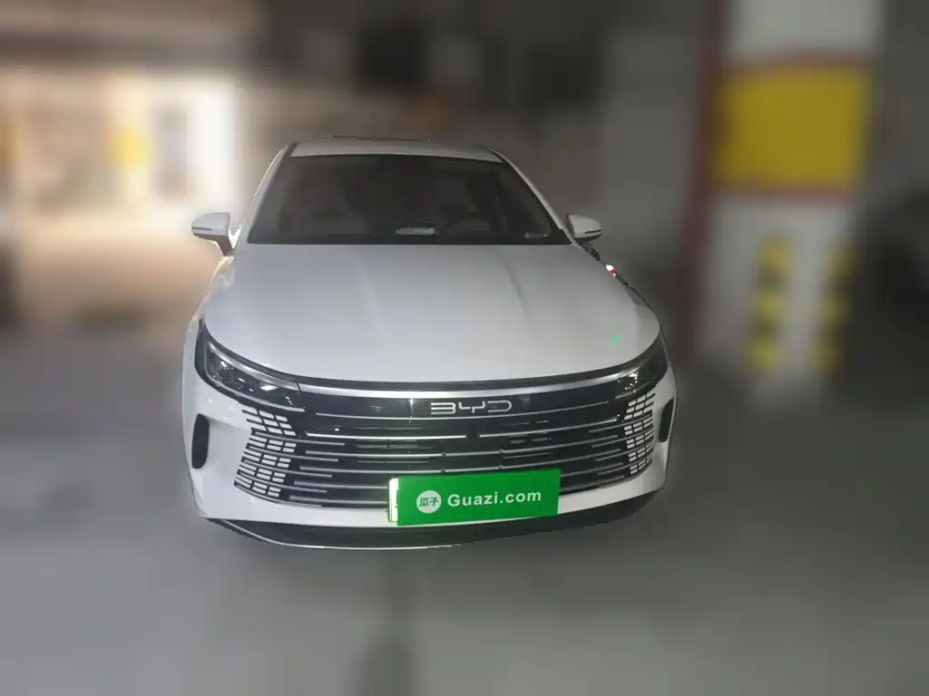BYD Destroyer 05 2024 2024 Glory Edition DM-i 55KM Luxury