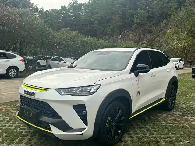Haval Haval H6S 2022 Model 2.0T 2WD Joy Run Edition