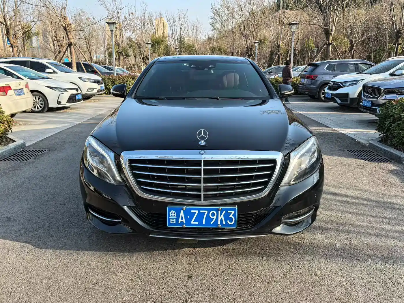 Mercedes-Benz S-Class 2014 S 400 L Premium фото 2