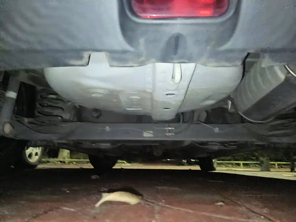 Фото 6 - Suzuki Swift