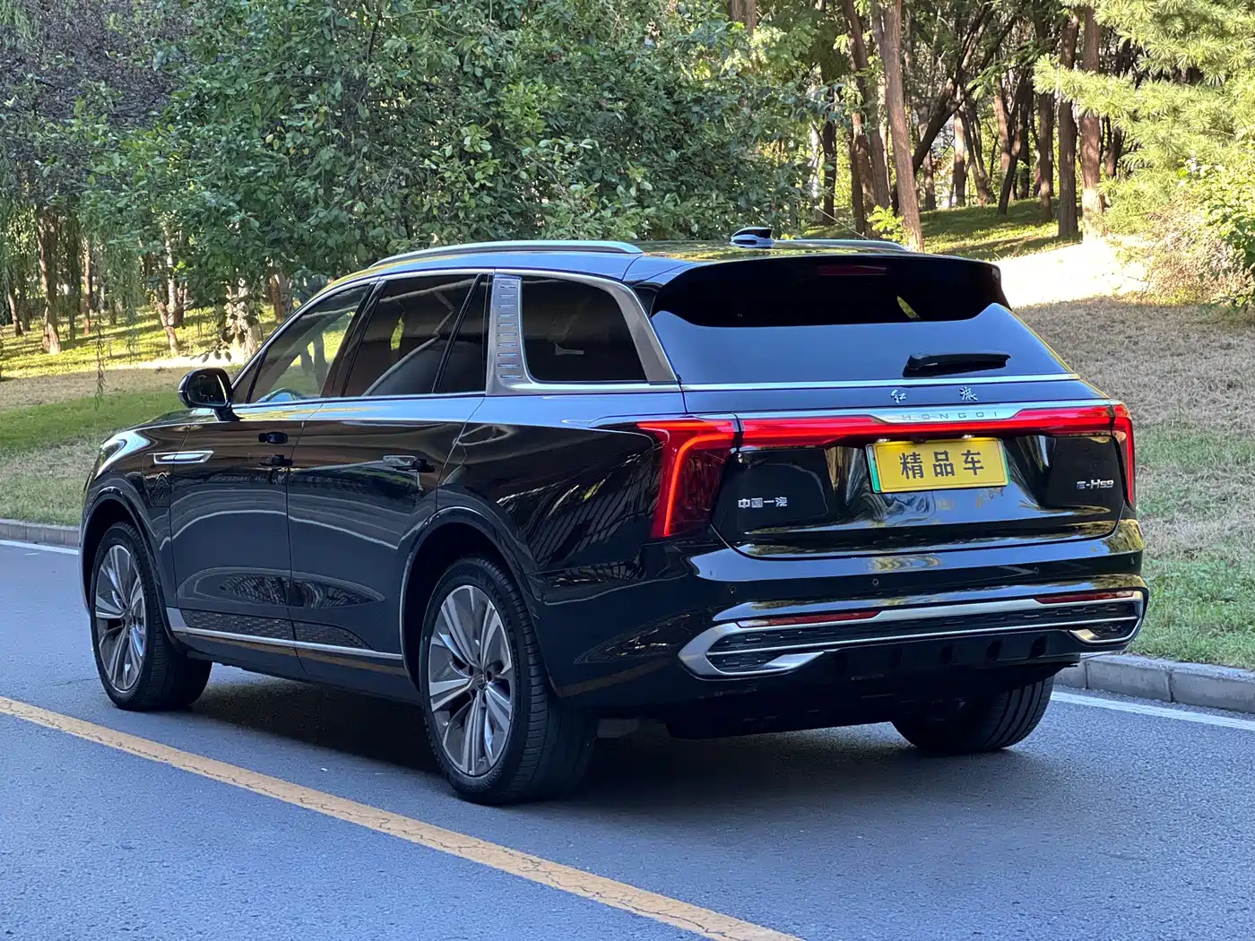 Hongqi E-HS9 2023 2021 460km Flagship Comfort 6-seater